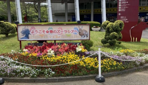 【駐車場・チケットの買い方・授乳室】よこはま動物園ズーラシアの便利スポットなどを解説！【レンタルベビーカー・園内バス】