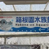 【ゆるゆるアザラシショー】箱根園水族館に行ってみた【赤ちゃん連れにオススメ！】